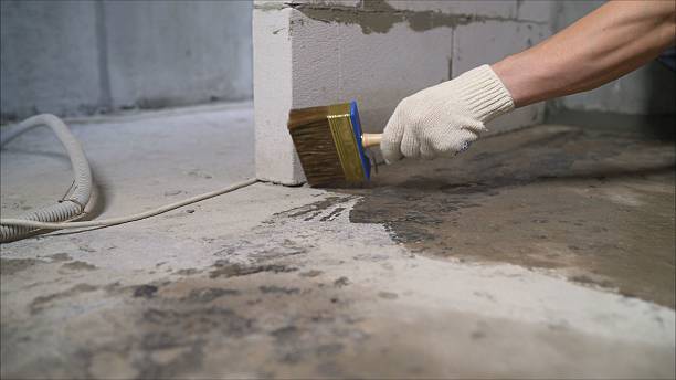Top rated local Wet Basement Repair specialists in Holt, MI